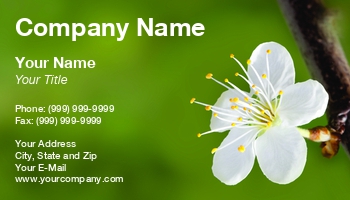 Beauty | Featured Designs | Nature |--| Asia | At275213 | Beginnings | Blossom | Blue | Branch | Cherry | Closeup | Cloud | Day | East | Flower | Freshness | Green Allergy | Growth | Image | Japan | Life | Macro | Plant | Sacura | Season | Sky | Spring | Start | Tomas Rasl | Tree | White