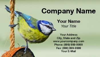 Featured Designs |--| At276232 | Bird | Black | Blue | Bokeh | British | Donna Apsey | Fledgling | Focus | Grass | Green | Leafy | Marshland | Ornithology | Pet Food | Singing | Songbird | Tit | Twig | Young