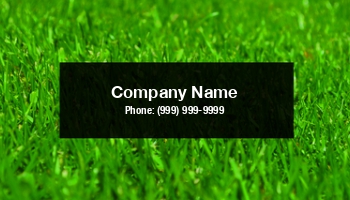 Featured Designs | Nature |--| Abstract | Andrew Shim Weng Hong | At276737 | Background | Beams | Beautiful | Clear | Close | Closeup | Color | Concept | Day | Environment | Field | Fresh | Freshness | Gardener | Grass | Landscape | Turf