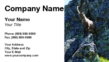 Featured Designs | Nature |--| Aiguille | Alpine | Alps | Animal | At278975 | Brown | Capra | Chamonix | Europe | Fauna | Goat | Haute Savoie | Horned | Hunter | Hunting | Ibex | Image | Mammal | Mer De Glace | Mountain | Natural | Reserve | Rock | Rouge | Summer | Target | Tomas Rasl | Trapper | Wildlife