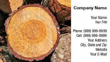 Featured Designs |--| At279420 | Balk | Bark | Beam | Board | Bombaert Patrick | Brown | Building | Cut | Log | Long | Lumber | Material | Natural | Pile | Pine Spruce | Raw | Rind | Rough | Stacked | Stem | Timber | Tree | Tru | Wood | Wood Chipping