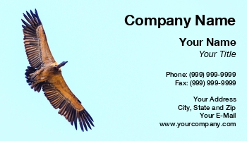 Featured Designs |--| Africa | At281616 | Birds | Botswana | Flight | Flying | Goo Moremi | Image | Large | Moremi Gorge | Overhead | Sky | Soaring | Span | Vulture | Vulture Gorge | Vultures | Wendy Redden | Wildlife Photography | Wings