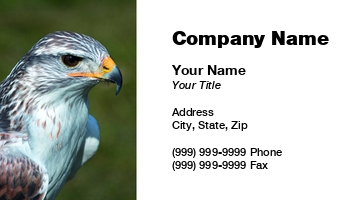 Featured Designs | Nature |--| Animal Care | Animal Rescue | At287296 | Biologist | Bird | Chris Willemsen | Exotic | Exotic Pets | Feather | Feathers | Macaw | Macaw Parrot | Parrot | Pet | Suits | Tropical | Tropical Birds | Wildlife | Wing | Wings | Zoo