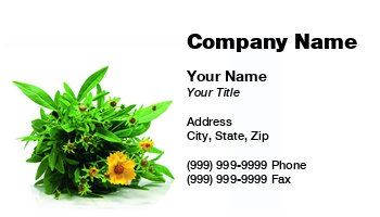 Featured Designs | Nature |--| Anniversary | At287356 | Blossom | Botany | Bouquet | Business | Chris Willemsen | Dahlia | Daisy | Decoration | Environment | Florist | Flower | Foliage | Gardening | Gift | Love | Nursery | Occupation | Petal | Plant | Plant Nursery | Suitable | Summer | Textures | Tropical | Valentine