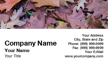 Featured Designs | Nature |--| At287374 | Autumn | Autumn Decorations | Botany | Chris Willemsen | Eco | Ecological | Ecology | Enviromental | Environment | Environmental | Fall | Fallen Leaves | Forest | Forestry | Involved | Leaf | Leaves | Loves | Outdoors | Professions | Science | Seasons | Suitable