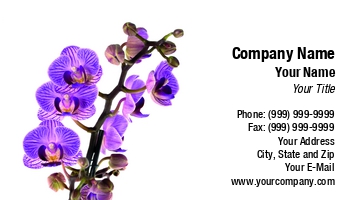 Featured Designs | Floral | Nature |--| At287580 | Blossom | Botany | Business | Chris Willemsen | Decoration | Florists | Flower | Nursery | Orchid | Orchidacaea | Plant | Plant Nursery | Suits