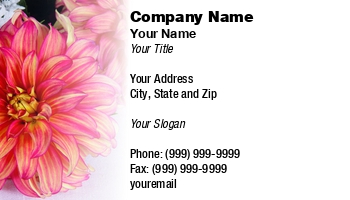 Featured Designs |--| At289327 | Blossom | Closeup | Dahlia | Detail | Flora | Florist | Flower | Fresh | Galyna Semenko | Georgina | Green | Head | Leaf | Nobody | Petal | Plant | Red | Seasonal