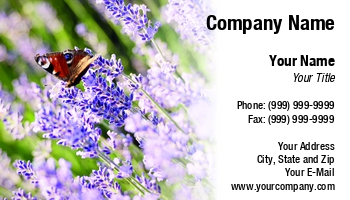 Featured Designs | Nature |--| Andreja Donko | At289401 | Botanical | Farmland | Flower | Insect | Nature Photography | Plant