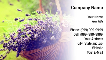 Featured Designs |--| Andreja Donko | At289404 | Backgroung | Basket | Botanical | Farmland | Fields | Flower | Flowers | Fragrant | Fresh | Green | Lavender | Nature Photography | Plant
