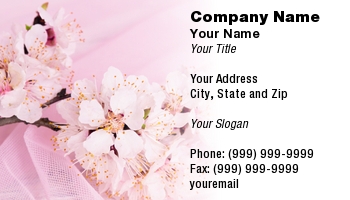 Featured Designs |--| Apricot | Apricots | At289635 | Background | Beautiful | Blossom | Bouquet | Branch | Congratulate | Delicate | Fabric | Few | Florist | Flowers | Galyna Semenko | Green | Greeting | Light | Little | Natural | Pink | Place | Silk Flower Arranger | Spring | Veiling | White