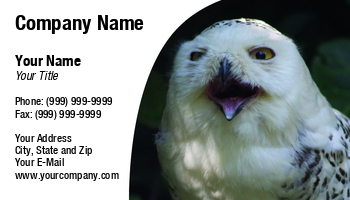 Animals | Featured Designs | Nature | Wild |--| Alba | Albifacies | Aluco | Asio | At293559 | Athene | Barn | Barred | Beak | Bird | Care | Claws | Eared | Eyes | Facing | Gray | Great | Grey | Hawk | Head | Hoot | Hooter | Horned | Jackass | Laughing | Long | Minerva | Nebulosa | Night | Noctua | Nocturnal | Occidentalis | Order | Otus | Owl | Owlet | Prey | Raptor | Raptorial | Sceloglaux | Scops | Screech | Silent | Sleep | Spotted | Strigiformes | Strix | Surnia | Tawny | Tyto | Ulula | Varia | Vision | Wisdom