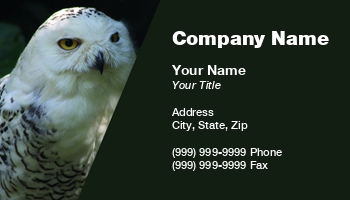 Animals | Featured Designs | Nature | Wild |--| Alba | Albifacies | Aluco | Asio | At293560 | Athene | Barn | Barred | Basic Logo | Beak | Bird | Care | Character | Claws | Comics | Cute | Eared | Emblem | Eyes | Facing | Fly | Gray | Great | Grey | Hawk | Head | Hoot | Hooter | Horned | Jackass | Kenneth Sommer | Laughing | Logo | Logos | Long | Minerva | Nebulosa | Night | Noctua | Nocturnal | Occidentalis | Order | Otus | Owl | Owlet | Prey | Raptor | Raptorial | Sceloglaux | Scops | Screech | Silent | Sleep | Spotted | Strigiformes | Strix | Surnia | Tawny | Tyto | Ulula | Varia | Vision | Wisdom