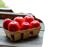 Featured Designs | Food | Hospitality |--| At294340 | Farmer | Food Products | Fresh | Maxal Tamor