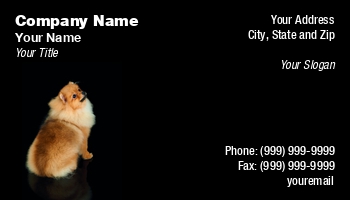 Animals | Beauty | Domestic | Featured Designs |--| Adorable | Animal | At290623 | Background | Beautiful | Black | Black Background | Breed | Canine | Charm | Cute | Dog | Dog Breed | Excellent | Fur | Gr | Groomed | Isolated | Isolated On Black | Konstantin Gushcha | Looks | Lovely | Lying | Mammal | Pet | Pomeranian | Sits | Small | Spit