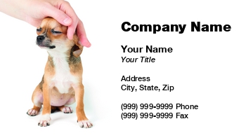 Animals | Domestic | Featured Designs |--| #039 | Adorable | Animal | At290629 | Attractive | Breed | Canine | Chihuahua | Creature | Cute | Dog | Five | Hand | Konstantin Gushcha | Lap | Little | Lovely | Lying | Mammal | Nice | Pedigree | Pet | Precious | Puppy | Purebred | Small | Strokes | Studio | Whelp | White | White Back | Woman