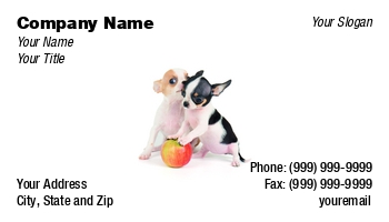 Featured Designs |--| Adorable | Animal | Animal Registration | Apple | At290632 | Attractive | Breed | Business | Canine | Card | Chihuahua | Creature | Cute | Dog | End | High | Konstantin Gushcha | Lovely | Lying | Mammal | Nice | Pedigree | Pet | Precious | Puppy | Purebred | Registration | Small | Studio | Template | Two | Two Animals