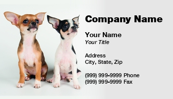 Featured Designs |--| Adorable | Animal | Animal Registration | At290635 | Attractive | Background | Breed | Canine | Chihuahua | Creature | Cute | Dog | Konstantin Gushcha | Lap | Little | Lovely | Lying | Mammal | Nice | Pedigree | Pet | Precious | Puppies | Puppy | Purebred | Small | Standing | Studio | Two | Whelp | White | White Backg