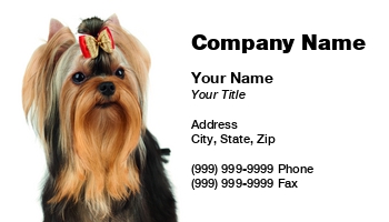 Animals | Featured Designs | Grooming |--| At290639 | Background | Bow | Cute | Dog | Domestic Animals | Groomed | Hair | Hair Bow | Head | Isolated | Isolated On White | Konstantin Gushcha | Long | Long Hair | Pet | Purebred | Purebred Dog | Silky | Small | Small Animal | Standing | Terrier | Toy Terrier | White | Yorkie | Yorkshire | Yorkshire Terrier