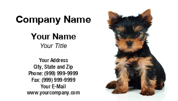 Animals | Domestic | Featured Designs | Grooming |--| Adorable | Animal | At290648 | Beautiful | Breed | Camera | Cute | Dog | Domestic Animals | Groomed | Hair | Isolated | Isolated On White | Konstantin Gushcha | One Animal | Pet | Puppy | Purebred | Small | Terrier | Toy Dog | White Background | Yorkie | Yorksh | Yorkshire