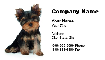 Featured Designs |--| Adorable | Animal | Animal Registration | At290651 | Background | Beautiful | Breed | Cute | Dog | Domestic Animals | Groomed | Hair | Isolated | Isolated On White | Konstantin Gushcha | Pet | Potrait | Puppy | Purebred | Sitting | Small | Terrier | Toy Dog | White | White Background | Yorkie | Yorkshire | Yorkshire Terrier