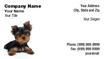 Animals | Domestic | Featured Designs | Grooming |--| Adorable | Animal | At290652 | Background | Beautiful | Breed | Cute | Dog | Domestic Animals | Groomed | Hair | Isolated | Isolated On White | Konstantin Gushcha | Pet | Puppy | Purebred | Small | Terrier | Toy Dog | White | White Background | Yorkie | Yorkshire | Yorkshire Terrier
