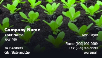 Featured Designs | Food | Hospitality |--| Agricultural Science Teacher | Agriculture | Amp | At296114 | Classifieds | Dealers | Farming | Farmland | Food Industry | Fresh | Geographer | Green Foods | Hans Slegers | Healthy | Leaf | Organic Farm | Salad | Suitable | Suppliers | Vegetables