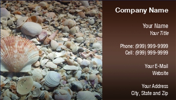 Aquatic | Beach | Featured Designs | Food | Hospitality | Nature | Ocean | Professional | Travel |--| Art | At296405 | Card | Craft | Dealer | Dealing | Decoration | Designer | Ecology | Great | Gulf | Marine | Michael Thompson | Natural | Oceanograph | Park | Products | Sand | Sea | Seashell | Seashells | Shellfish | Vacatio