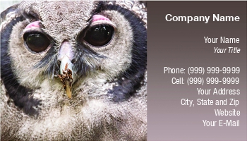 Featured Designs | Professional |--| Alex Grichenko | Animal | At296694 | Barn | Bird | Card | Classification | Creature | Darkness | Feather | Forest | Horned | Modern | Natural | Night | Nocturnal | Owl | Photography | Screech | Sound | Strigiformes | Wildlife | Zoologist