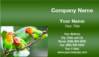 Featured Designs |--| Alex Grichenko | At296844 | Aves | Aviary | Bird | Characterise | Egg | Exotic | Feather | Flying | Humming | Love | Macaw | Nest | Occasion | Parrot | Passerines | Pet | Photography | Sanctuary | Season | Talking | Tropical - Bird | Wildlife | Wing | Zoo