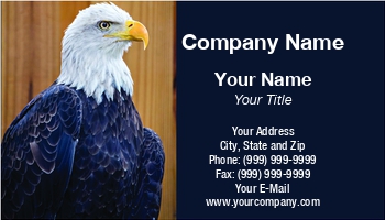 Featured Designs | Photographer | Professional |--| Accipitridae | Alex Grichenko | At296846 | Bird | Card | Characterise | Eagle | Egg | Emblem | Exotic | Feather | Feathers | Flying | Park | Photography | Sanctuary | Season | Suits | Wildlife | Wildlife Photography | Wing | Zoo