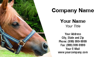 Featured Designs |--| Animal | At298070 | Bridle | Colt | Competition | Dealing | Forest | Horse | Horse Racing | Horses | Jockey | Mammal | Management | Mane | Pets | Photography | Portrait | Race | Racing | Rescue | Suitable | Tomas Rasl | Trainer | Trainers | Wildlife | Zoo