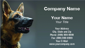 Featured Designs | Hospitality |--| Accessories | Amp | Animal | Animal Registration | Apparel | At299385 | Card | Care | Dangerous | Dog | Dogs | Great | Hospital | Mammal | Pedigree | Pet | Pet Shop | Product | Products | Rescue | Roman Milert | Sale | Shelter | Shop | Shops | Store | Supplier | Veterinary
