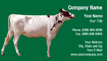Farm | Featured Designs |--| At30146 | Background | Bovine | Breeder | Card | Cattle | Cow | Dairy | Dairy Cow | Dairy Farm | Farmer | Green | Norma Cornes | Pedigree | Rancher | Siutable | Standing | White