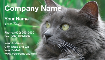 Featured Designs |--| At30179 | Cat | George Pappas | Persian Cat