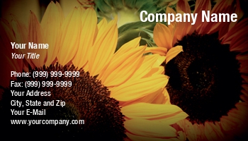 Featured Designs | Garden | Potpourri | Trades |--| Astrid Van Der Eerden | At31280 | Black | Florist | Gardener | Glow | Macro | Macro Photography | Photographs | Sunflower | Sunflowers