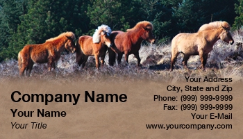 Featured Designs | Wild |--| At31422 | Edge | Forest | Horse | Paula Gent | Ponies