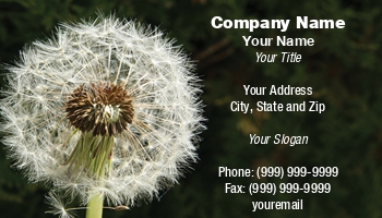 Featured Designs | Nature |--| At31424 | Background | Dandelion | Dark | Downy | Emilia Kun | Globular | Head | Herb | Plant | Seed | Stem | Weed