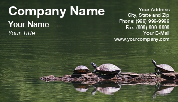 Featured Designs | Nature |--| At31447 | Darryl Brooks | Image | Keepers | Lake | Log | Needing | Owners | Pet | Reptile | Reptiles | Turtle | Turtles | Useful | Zoo