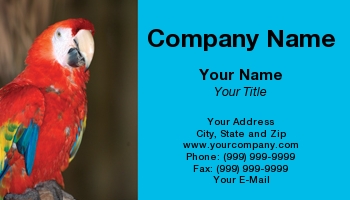 Featured Designs |--| At31508 | Bird | Florida | Macaw | Naples | Norman Reid | Photographed | Scarlet | Zoo
