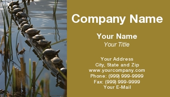 Animals | Featured Designs |--| Apache | At31509 | Bosque | Del | Group | Mexico | National | Norman Reid | Refuge | Reptile | Reptiles | Sunning | Turtles