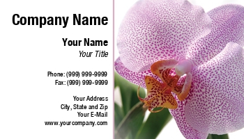 Featured Designs | Garden | Nature | Trades |--| Activity | At31521 | Background | Botany | Closeup | Florist | Illustrate | Martine Affre Eisenlohr | Orchid | White