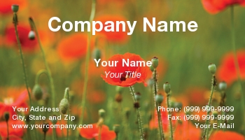 Featured Designs | Floral | Nature |--| At31725 | Field | Leesburg | Norman Reid | Poppies | Virginia