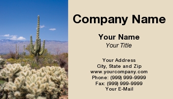 Featured Designs | Nature |--| Arizona | At31728 | Cactus | Cholla | National | National Park | Norman Reid | Park | Saguaro | Tucson