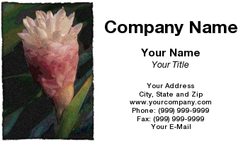Featured Designs | Floral | Nature |--| At31731 | Norman Reid