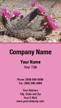 Desert | Featured Designs | Nature |--| Appropriate | Arizona | At31790 | Bloom | Cactus | Florists | Flowers | Gardeners | Hedgehog | Lover | National | National Park | Norman Reid | Park | Photo | Saguaro | Southwest | Taken | Tucson