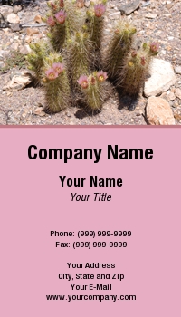 Desert | Featured Designs | Nature |--| Appropriate | Arizona | At31794 | Cactus | Card | Delicate | Florists | Flowers | Gardeners | Hedgehog | Lovers | Loves | Norman Reid | Photographed | Southwest | Tucson