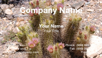 Featured Designs | Floral | Nature |--| American | Appropriate | Arizona | At31796 | Cactus | Card | Delicate | Florists | Flowers | Gardeners | Hedgehog | Lovers | Norman Reid | Phoenix | Photographed | Southwest | Tucson