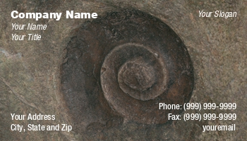 Featured Designs |--| Astrid Van Der Eerden | At32049 | Different | Fossil | Geologist | Paleontologist | Rock