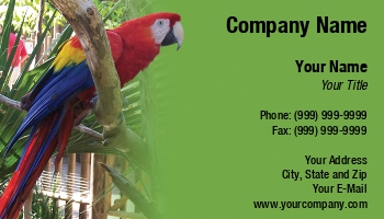 Animals | Featured Designs |--| Animal Care | At32257 | Aviary | Bird | Birds | Dana Tucker | Parrot