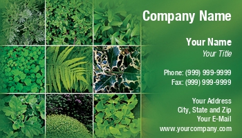 Featured Designs | Garden | Trades |--| At32475 | Collection | Emilia Kun | Green | Leaves